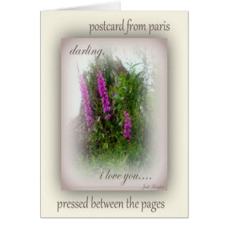 Briefkaart uit Parijs