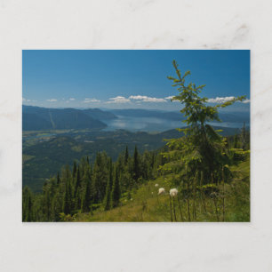 BRIEFKAART ~ Uitzicht Clark Fork van Scotchman Pea
