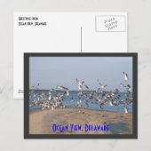 Briefkaart, Uitzicht Oceaan, Delaware Briefkaart (Voorkant / Achterkant)