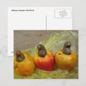 Briefkaart van Afrikaanse Cashew Nut Fruit (Voorkant / Achterkant)