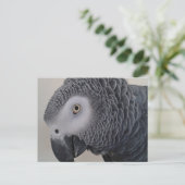 Briefkaart van Afrikaanse grijze papegaai (Staand voorkant)