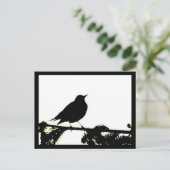 Briefkaart van American Robin Silhouette (Staand voorkant)