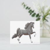 Briefkaart van Amerikaanse zadelpaars (Staand voorkant)