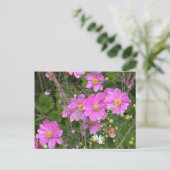 Briefkaart van Anemones (Staand voorkant)