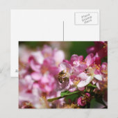 Briefkaart van appelbloesem en honingbijen (Voorkant / Achterkant)