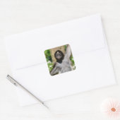 Briefkaart van appelmoeren, van verschillend gesne vierkante sticker (Envelop)