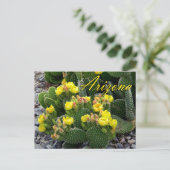 Briefkaart van Arizona, Prickly Pear Cactus (Staand voorkant)