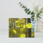 Briefkaart van Aspen leaf (Staand voorkant)