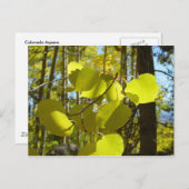 Briefkaart van Aspen leaf (Voorkant / Achterkant)