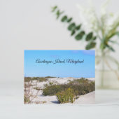 Briefkaart van Assateague (Staand voorkant)