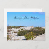 Briefkaart van Assateague (Voorkant / Achterkant)