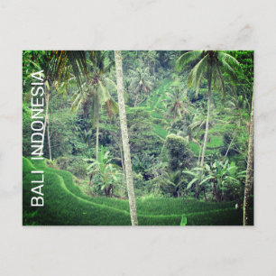 Briefkaart van Bali-Indonesië