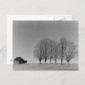 Briefkaart van Barn en bomen (Voorkant / Achterkant)