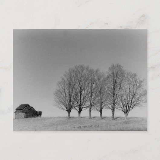 Briefkaart van Barn en bomen (Voorkant)