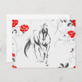 Briefkaart van barokpaarden (Voorkant / Achterkant)