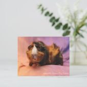Briefkaart van Beauful Guinea Pig (Staand voorkant)