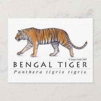 Briefkaart van Bengal Tiger