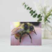 Briefkaart van bijen (Staand voorkant)