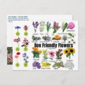 Briefkaart van bijenvriendelijke bloemen (Voorkant / Achterkant)