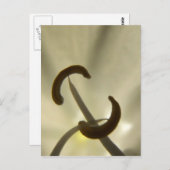 Briefkaart van bloemen (Voorkant / Achterkant)