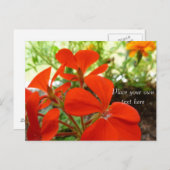 briefkaart van bloementeelt (Voorkant / Achterkant)