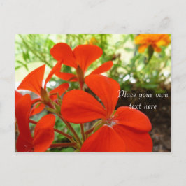 briefkaart van bloementeelt