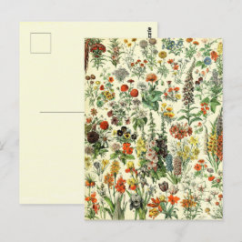  Briefkaart van botanische vlooiers