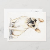 Briefkaart van Bulldog Dog Art (Voorkant / Achterkant)