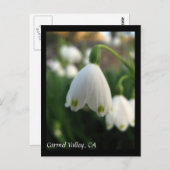 Briefkaart van Carmel Valley Flowers (Voorkant / Achterkant)