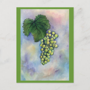 Briefkaart van Chardonnay Wine Grapes