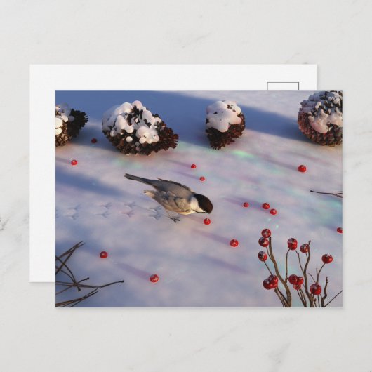 Briefkaart van Chickadee Winter (Voorkant / Achterkant)