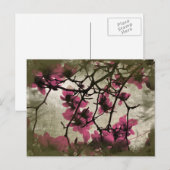Briefkaart van Chocolate Raspberry Blossom Branche (Voorkant / Achterkant)