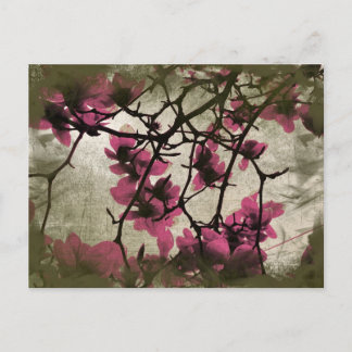Briefkaart van Chocolate Raspberry Blossom Branche