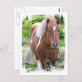 Briefkaart van conceptpaarden (Voorkant / Achterkant)