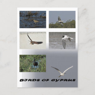 briefkaart van cyprus