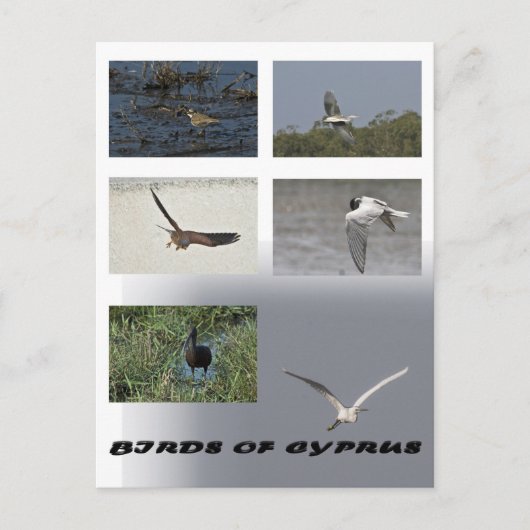 briefkaart van cyprus (Voorkant)