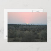 Briefkaart van de Afrikaanse zonsondergang (Voorkant / Achterkant)