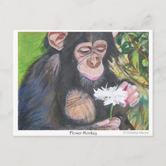 Briefkaart van de bloem (Voorkant)