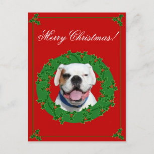 Briefkaart van de Bokser van Kerstmis het Witte