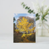 Briefkaart van de Boom Ginkgo Biloba (Staand voorkant)