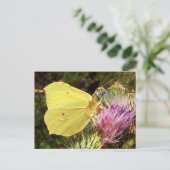 Briefkaart van de Brimstone-tijger (Staand voorkant)