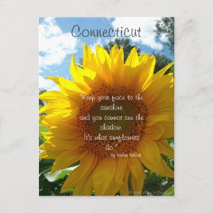 Briefkaart van de Connecticut Sunflower