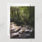 Briefkaart van de Costa Ricaanse regenwouden (Voorkant / Achterkant)