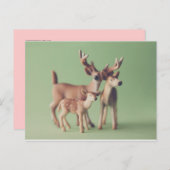 Briefkaart van de Deer Family (Voorkant / Achterkant)