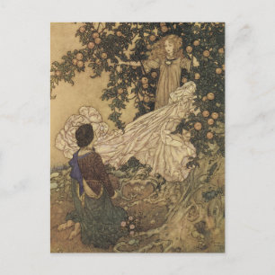 Briefkaart van de Faerie