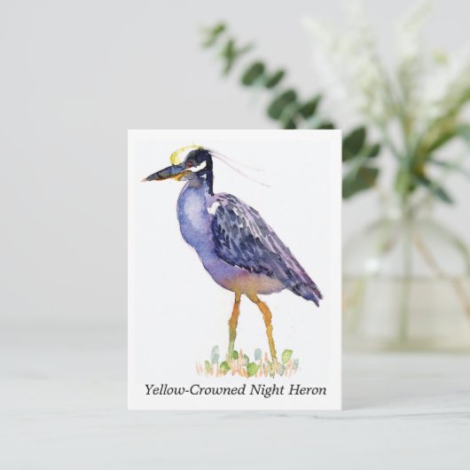 Briefkaart van de geelbruine nachtharon (Staand voorkant)