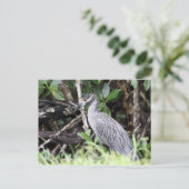 Briefkaart van de geelbruine nachtharon (Staand voorkant)