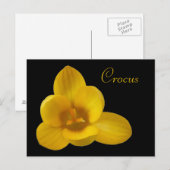 Briefkaart van de Gele Kroeskroon (Voorkant / Achterkant)