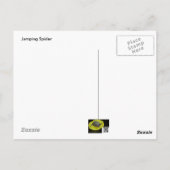 Briefkaart van de groene spin (Salticidae) (Achterkant)