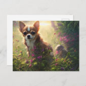 Briefkaart van de groetings van Chihuahua (Voorkant / Achterkant)